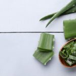 aloe vera 2021 08 31 11 09 02 utc 1