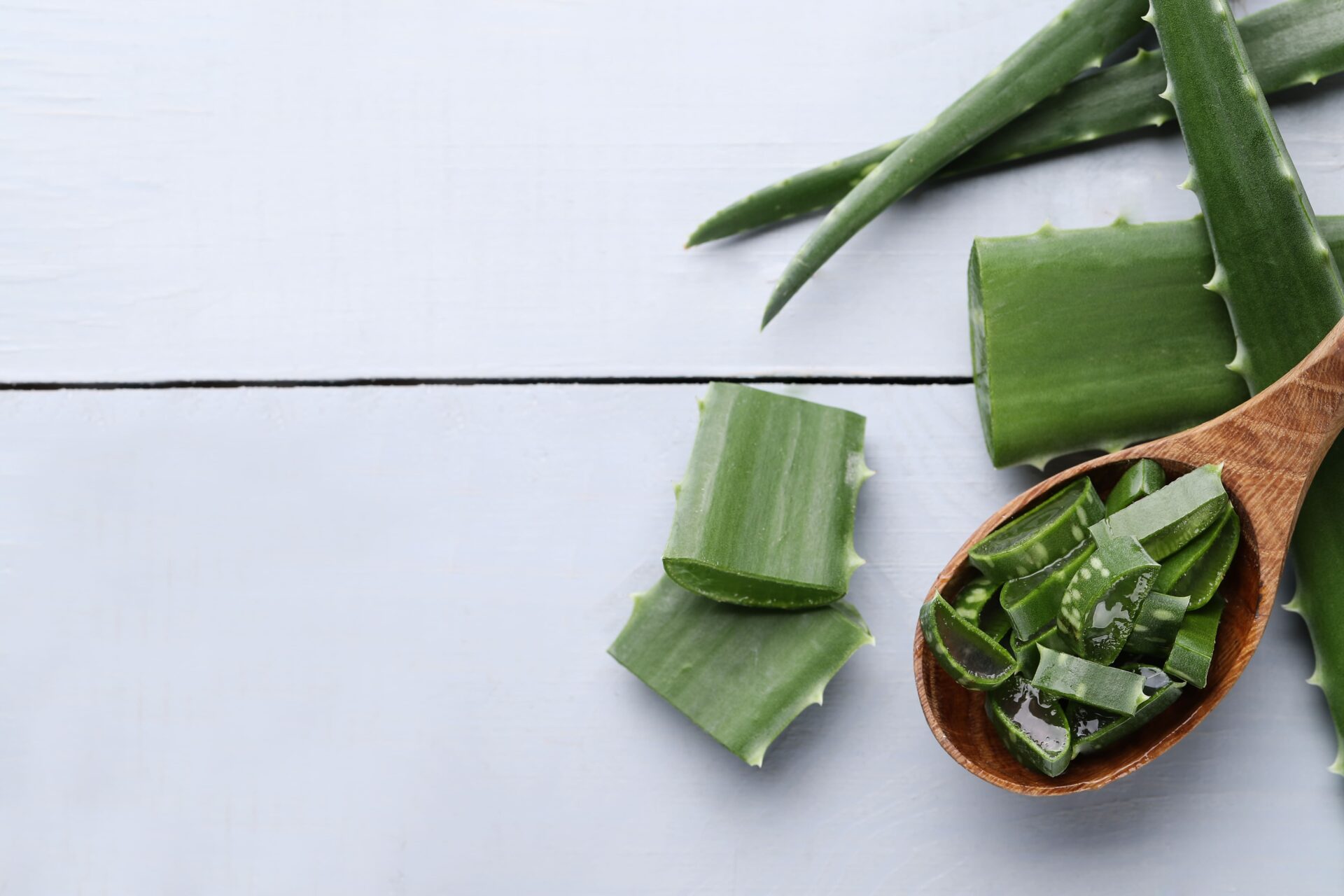 aloe vera 2021 08 31 11 09 02 utc 1