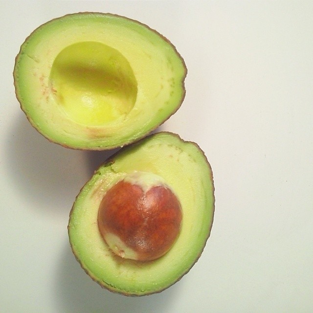 de la persea americana aguacate avocado vscocam provecho t20 l6L9K8
