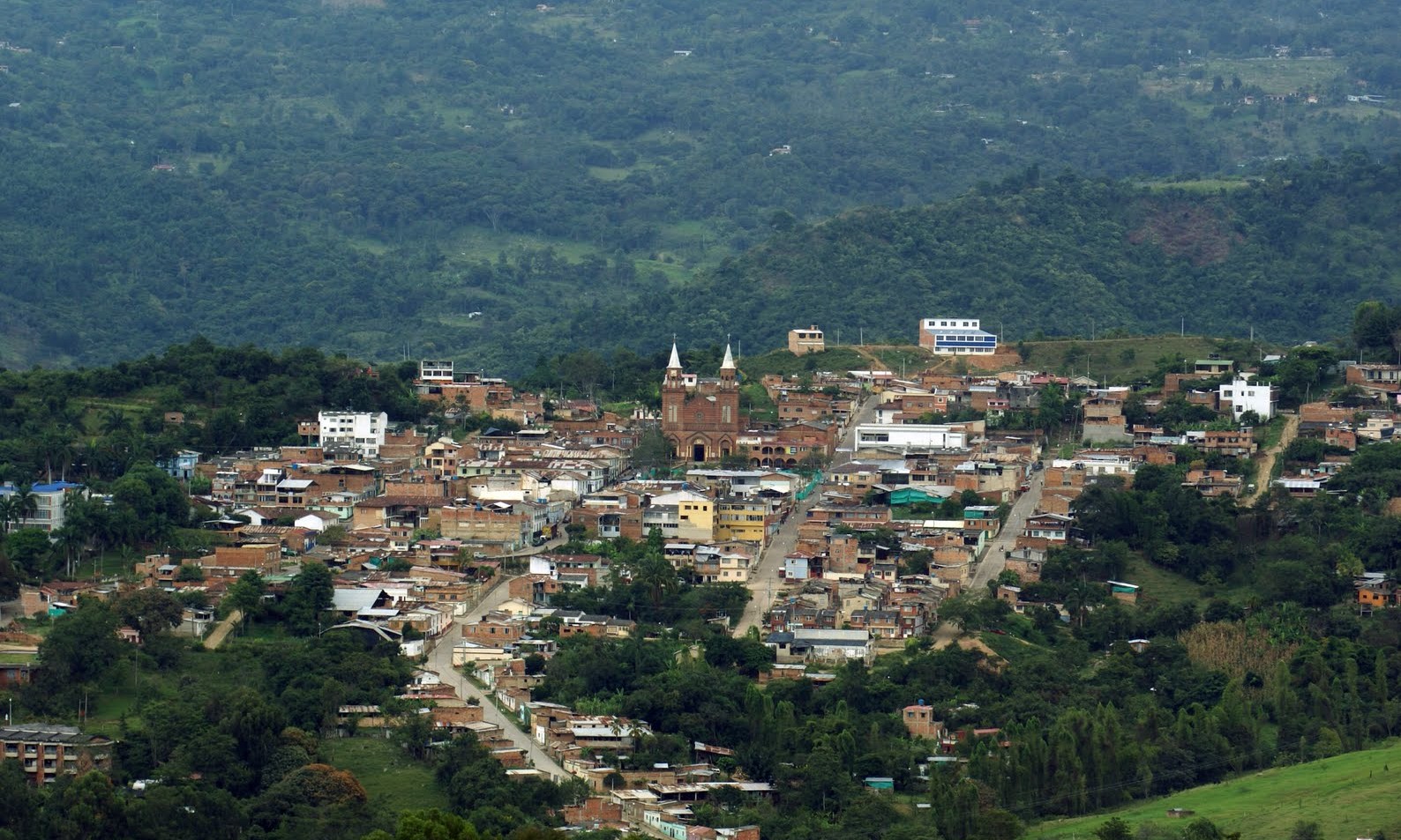 Arbeláez1