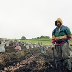 campesinos