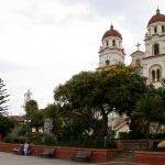 guasca