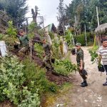 Soldados plantaron 180 árboles como aporte al medio ambiente