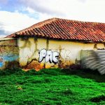 conservación
