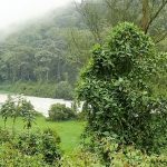 Avance de un 70 en cumplimiento de la Sentencia del rio Bogota