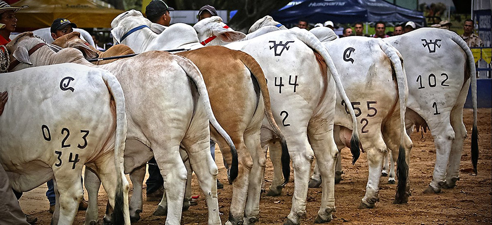 MinAgricultura y Banco Agrario