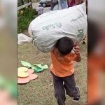 MinTrabajo y Gobernacion de Cundinamarca unidos en la prevencion y erradicacion del trabajo infantil