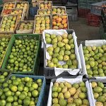 Precio de los alimentos fue el motor que jalonó descenso de la inflación en agosto 1