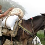 Con los mejores Planes de Desarrollo Antioquia se llevó cinco premios 1