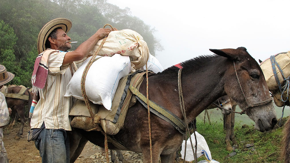 Con los mejores Planes de Desarrollo Antioquia se llevó cinco premios 1