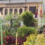 alimentacion escolar
