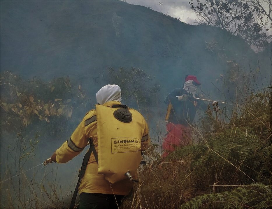 Dos grandes incendios forestales se presentan a esta hora en Cundinamarca