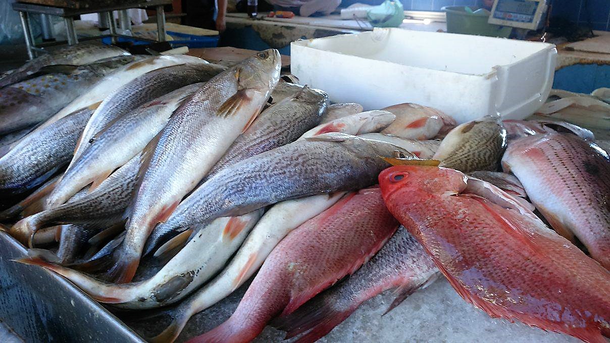 Alcaldia y Secretaria de Salud de Zipaquira piden tener cuidado al momento de adquirir pescados y mariscos