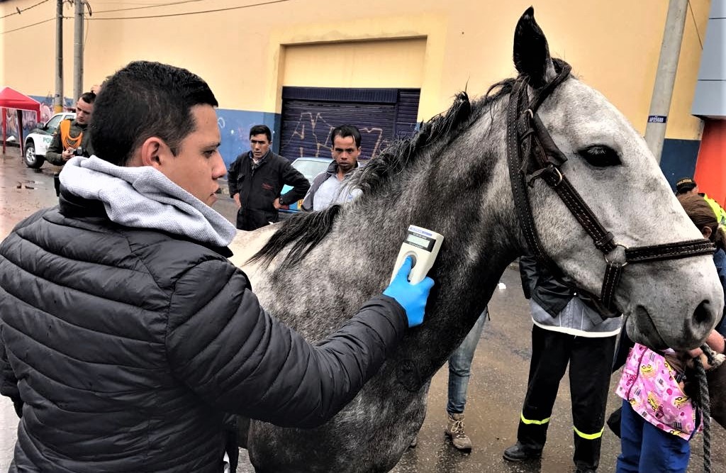 Con dispositivo electrónico Facatativá censa vehículos de tracción animal