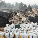 Desarticulada organizacion delincuencial dedicada a la explotacion ilicita de recursos naturales