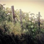 Mesa Agroclimática mantiene monitoreo permanente sobre el comportamiento del clima en el agro