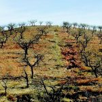 Primer protocolo de salinización de suelos en Colombia entregó la CAR Cundinamarca