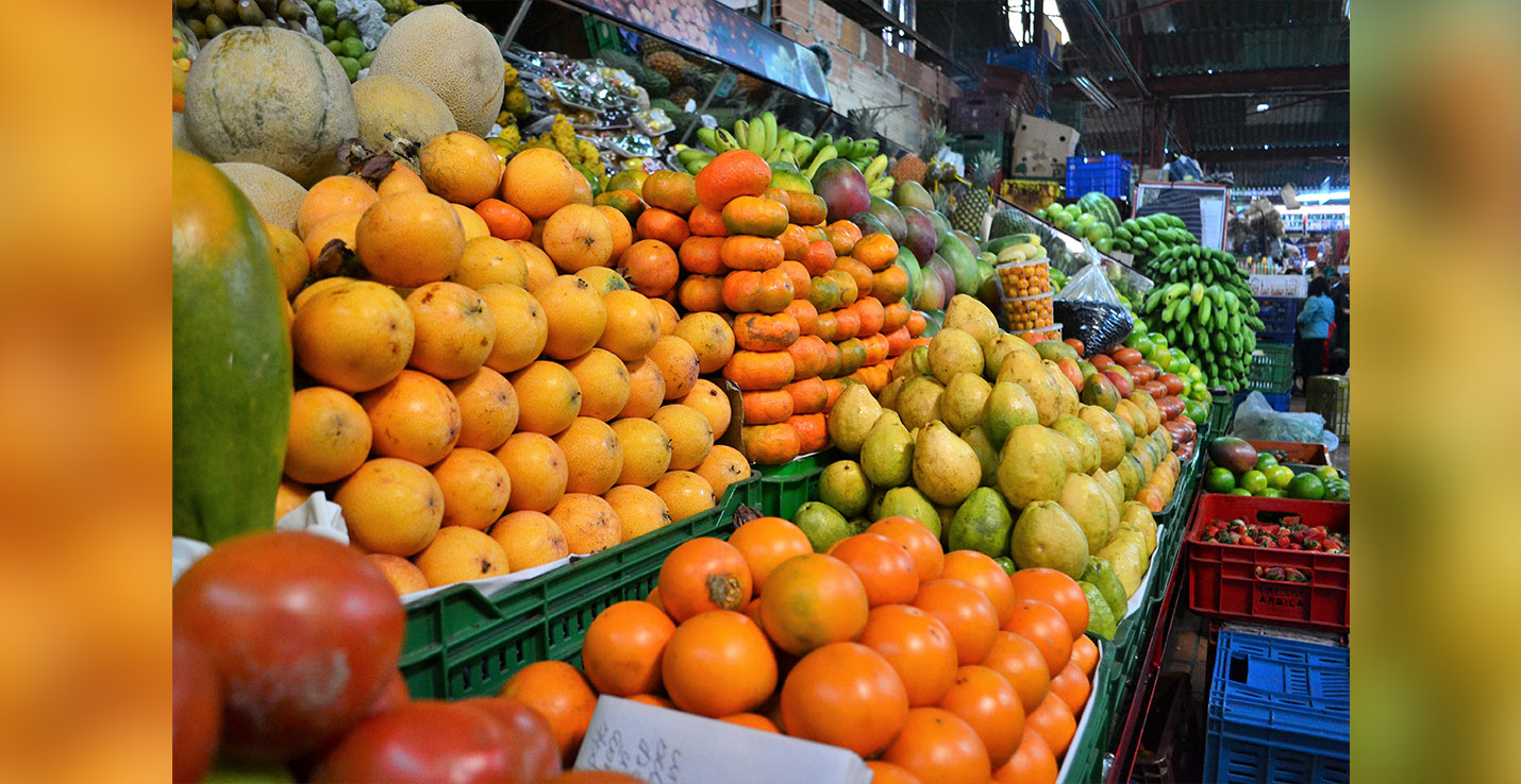 alimentos