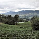 alivio tributario