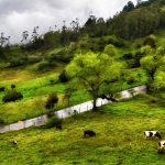 Convocatoria Para Proyectos De Turismo Comunitario