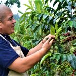 El hippie calvo y su finca quinta llena de vida 1