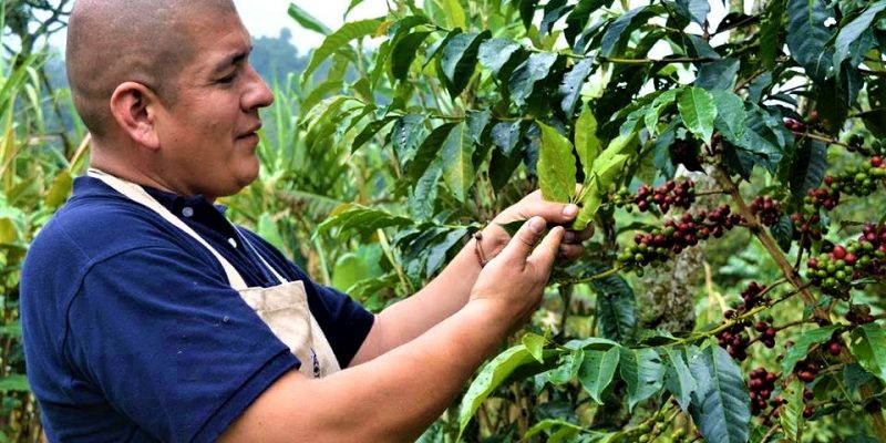 El hippie calvo y su finca quinta llena de vida 1