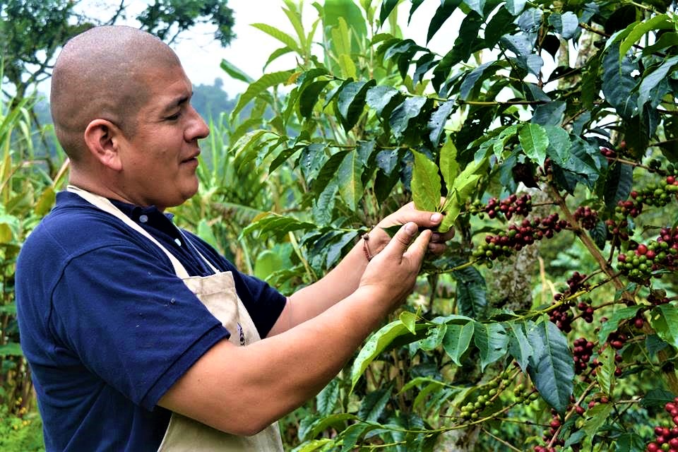 El hippie calvo y su finca quinta llena de vida 1