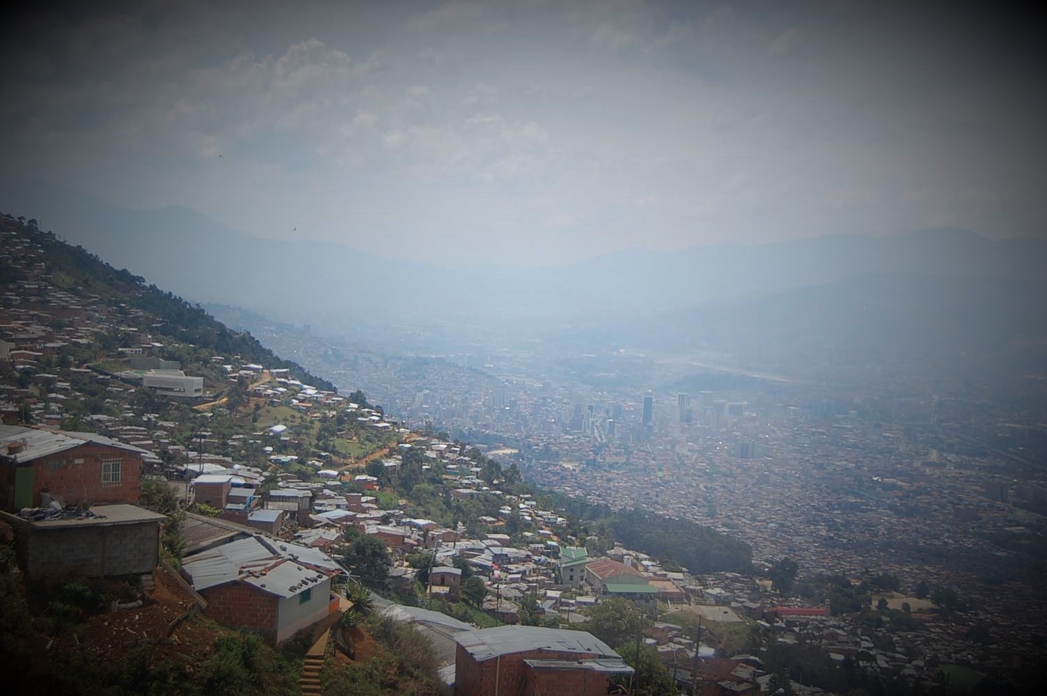 cortesiabibiana