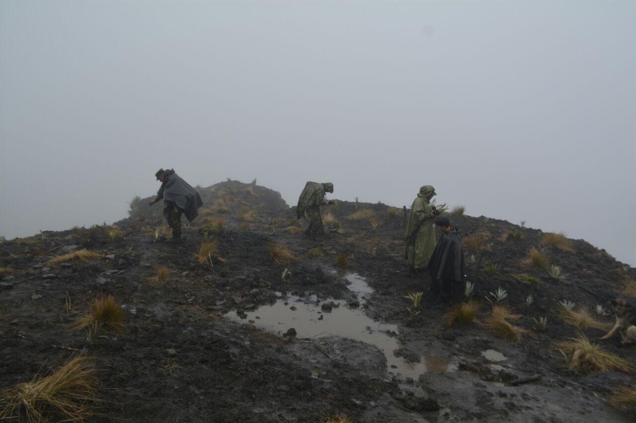 Brigada XIII conmemoró el día mundial del medio ambiente en el Páramo de Sumapaz