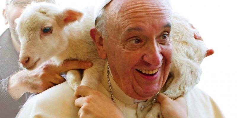 El Papa Francisco un pastor con olor a oveja