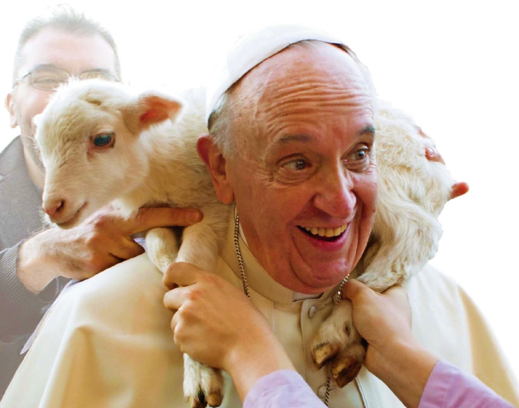 El Papa Francisco un pastor con olor a oveja