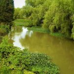 Inicia proceso de formación en riesgos y cambio climático para veedores del Río Bogotá