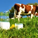 Leche de Vaca