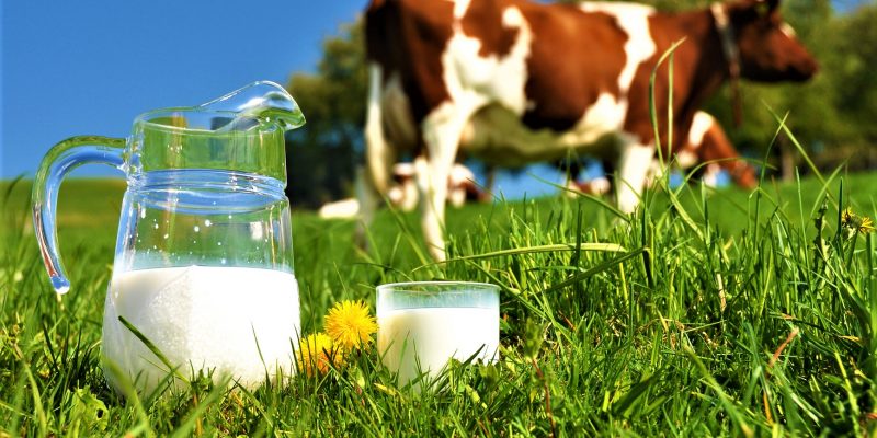 Leche de Vaca