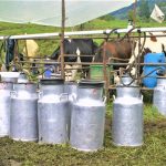 MinAgricultura presentó plan de choque para estabilizar comercialización de la leche