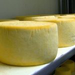 Por sobreoferta de queso en crisis estan los lecheros de Ubate y Zipaquira
