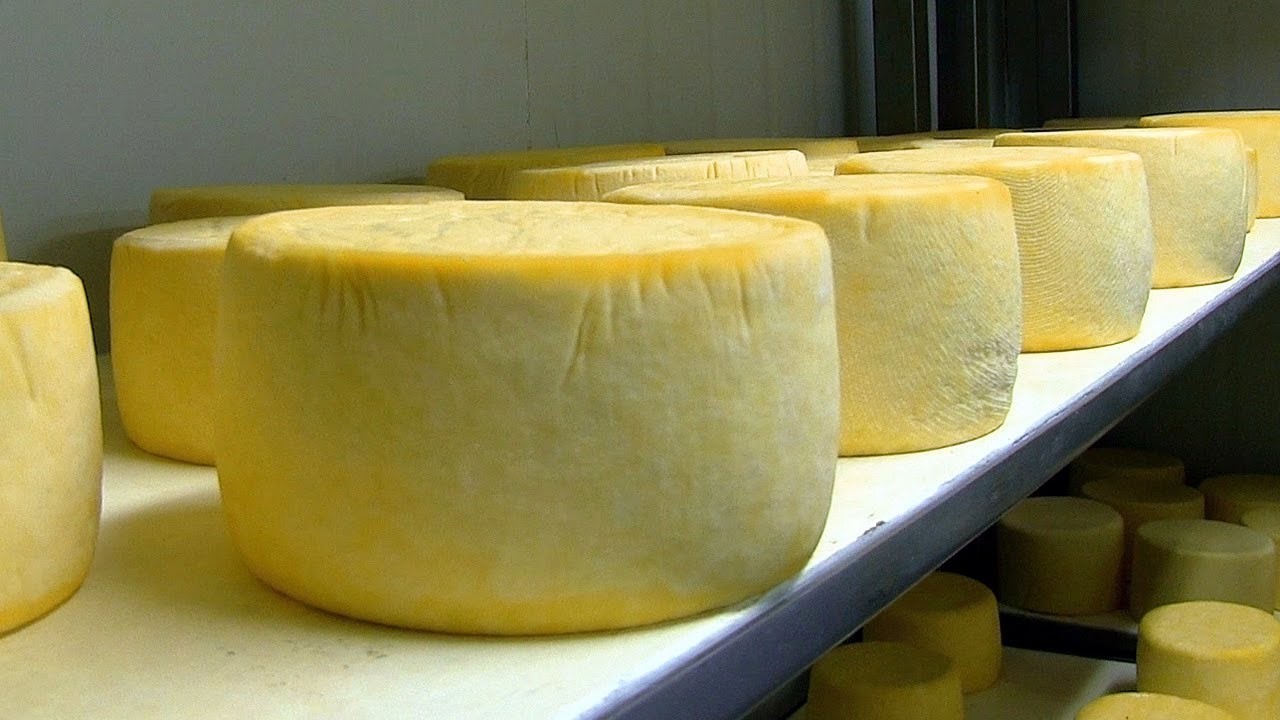 Por sobreoferta de queso en crisis estan los lecheros de Ubate y Zipaquira