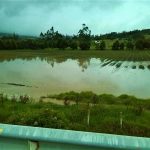 Se mantiene control en el Río Tejar para evitar desbordamientos en los predios
