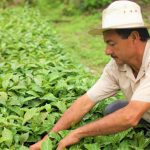 URT cuenta con aval de la Fuerza Pública para realizar trabajos en todo Cundinamarca