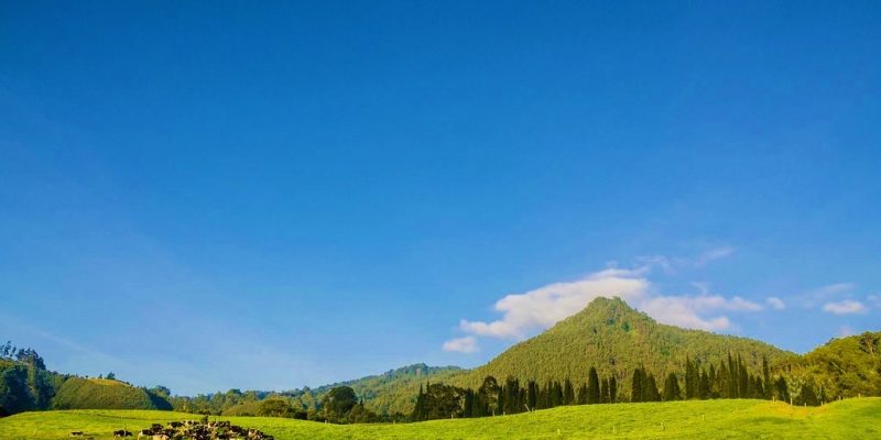 cerro D Zipa
