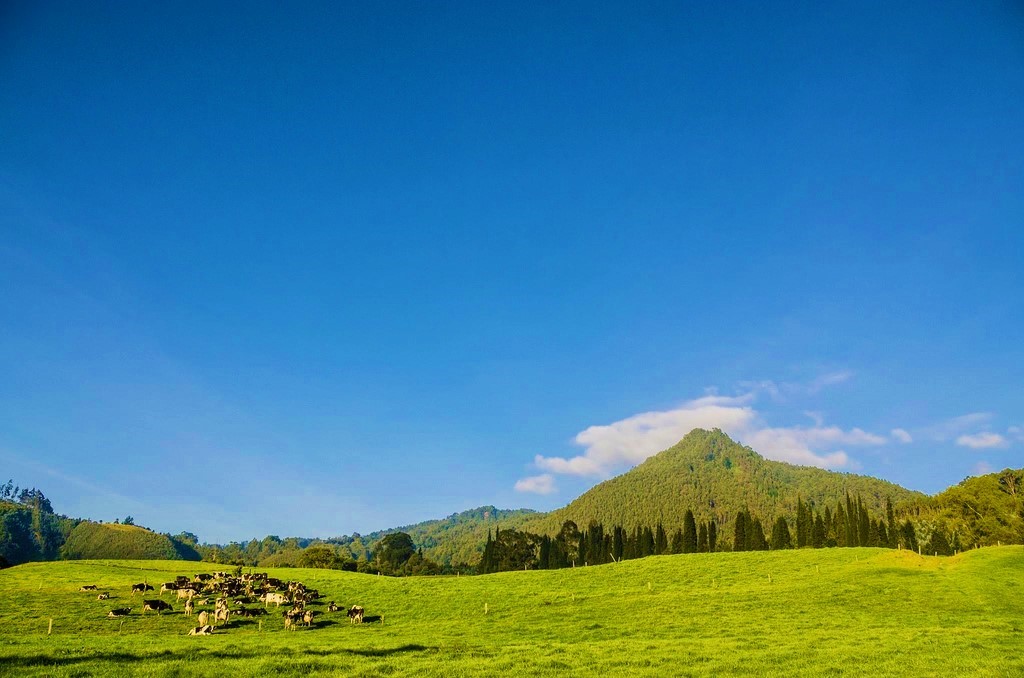 cerro D Zipa
