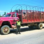 El abigeato golpea fuertemente al Valle de Ubaté