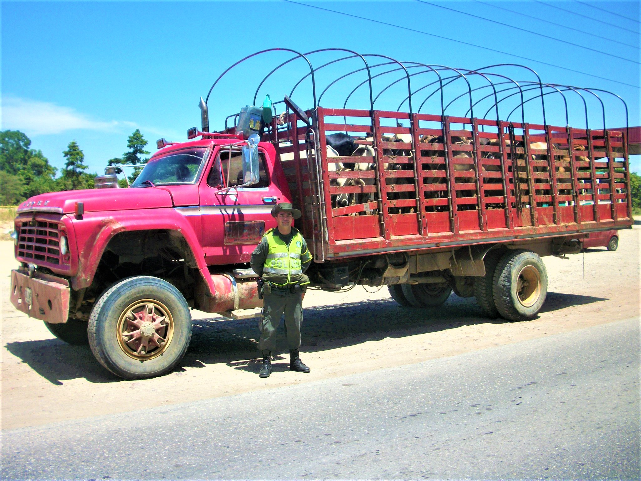 El abigeato golpea fuertemente al Valle de Ubaté