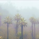 Proyecto páramos cuida el agua al 30 de la población colombiana