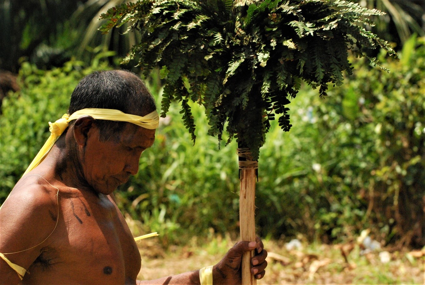caqueta
