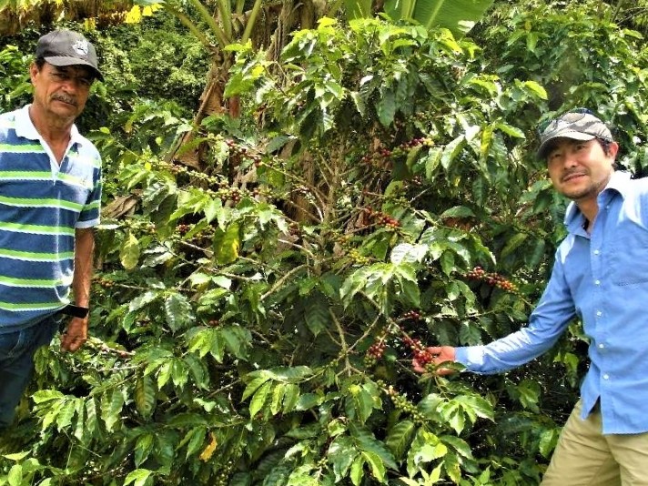 Agencia de cooperación japonesa apoyará a familias restituidas de La Palma