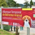Albergue