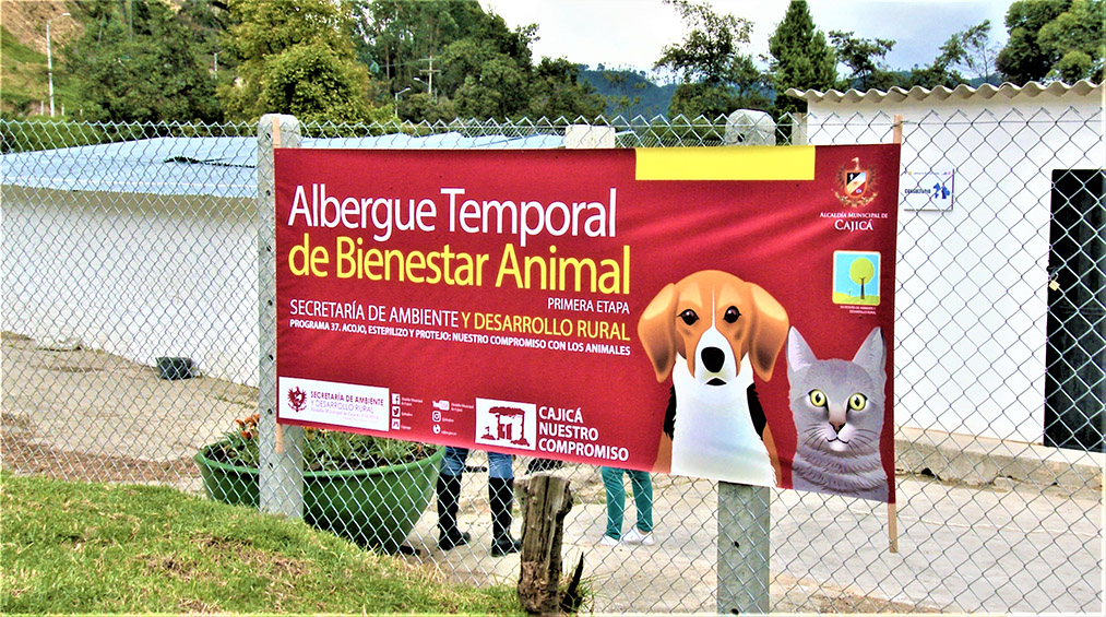 Albergue