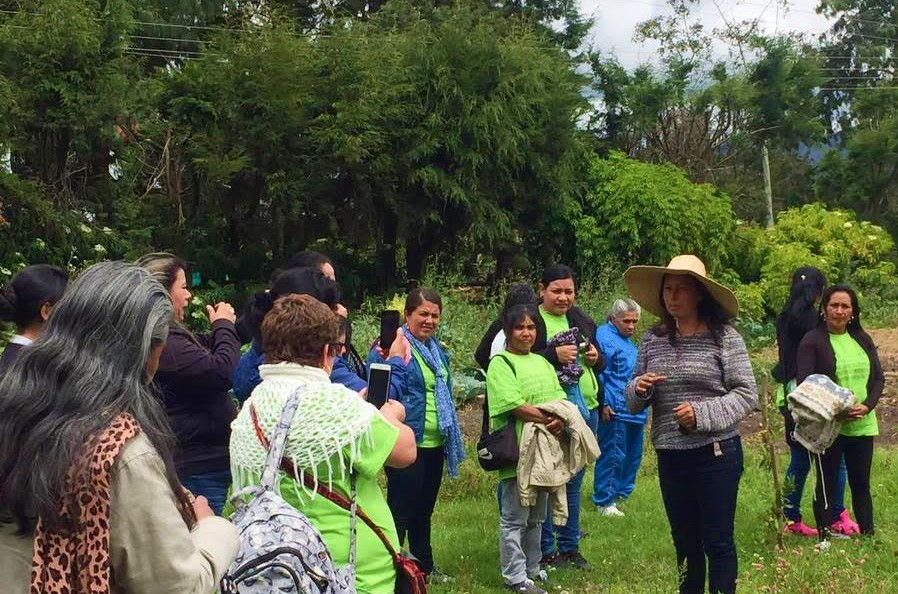 Entre Cauca y Tenjo intercambio de experiencias campesinas