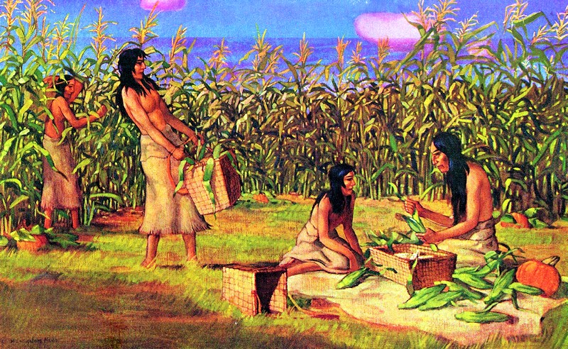 Los días 28 y 29 de octubre Festival del Maíz en Cajicá